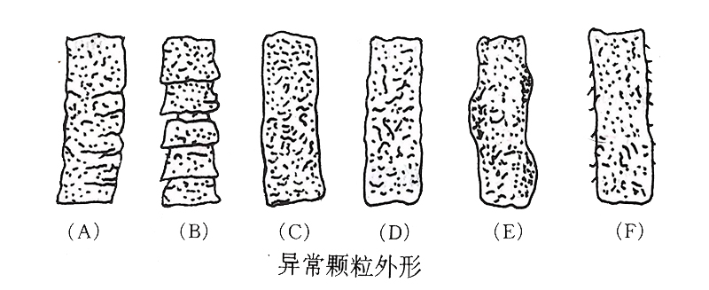 木屑颗粒机