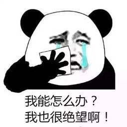 生物质颗粒机