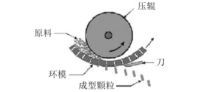 颗粒机环模失效