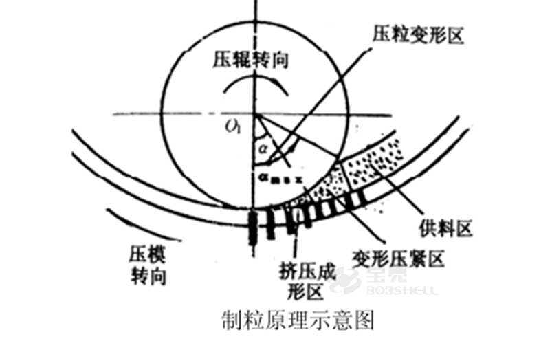 环模颗粒机