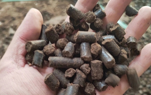 牛粪颗粒